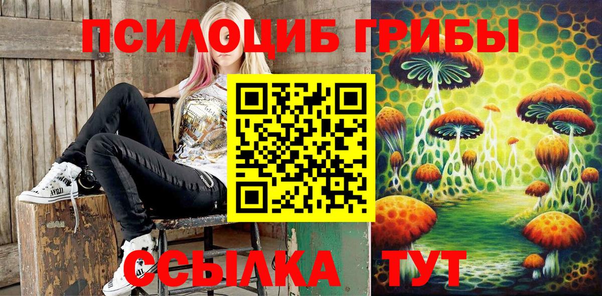 Псилоцибиновые грибы MAGIC MUSHROOMS  Псилоцибиновые грибы Psilocybine cubensis  Вход с VPN  Ноябрьск 